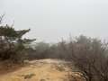 작성자 : 이윤찬
작성일 : 03-12
제목 : 오늘 오후까지 하룻동안 하도 스트레스를 받아서 3시 넘어 어쩔 수 없이 호암산 정상 코스를 다녀왔습니다.
내용 :   새벽부터 부팅 USB 메모리를 실제 차지하는 용량의 iso 파일로 만드는 작업이 잘 안돼서 스트레스를 받은데다가 챗GPT도 이 방법을 답변하는데 있어 계속 헤매었다는 사실이고 그 후로 https://story.kakao.com/blrun/...
